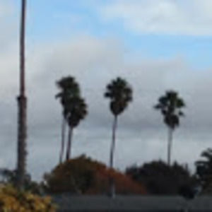 Meet your Posher, Deanna